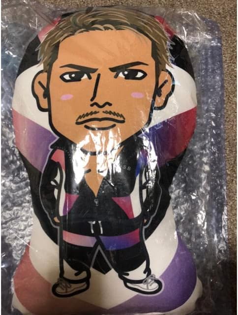 今市隆二 クッション 今市隆二スクエアクッション 三代目 今市隆二